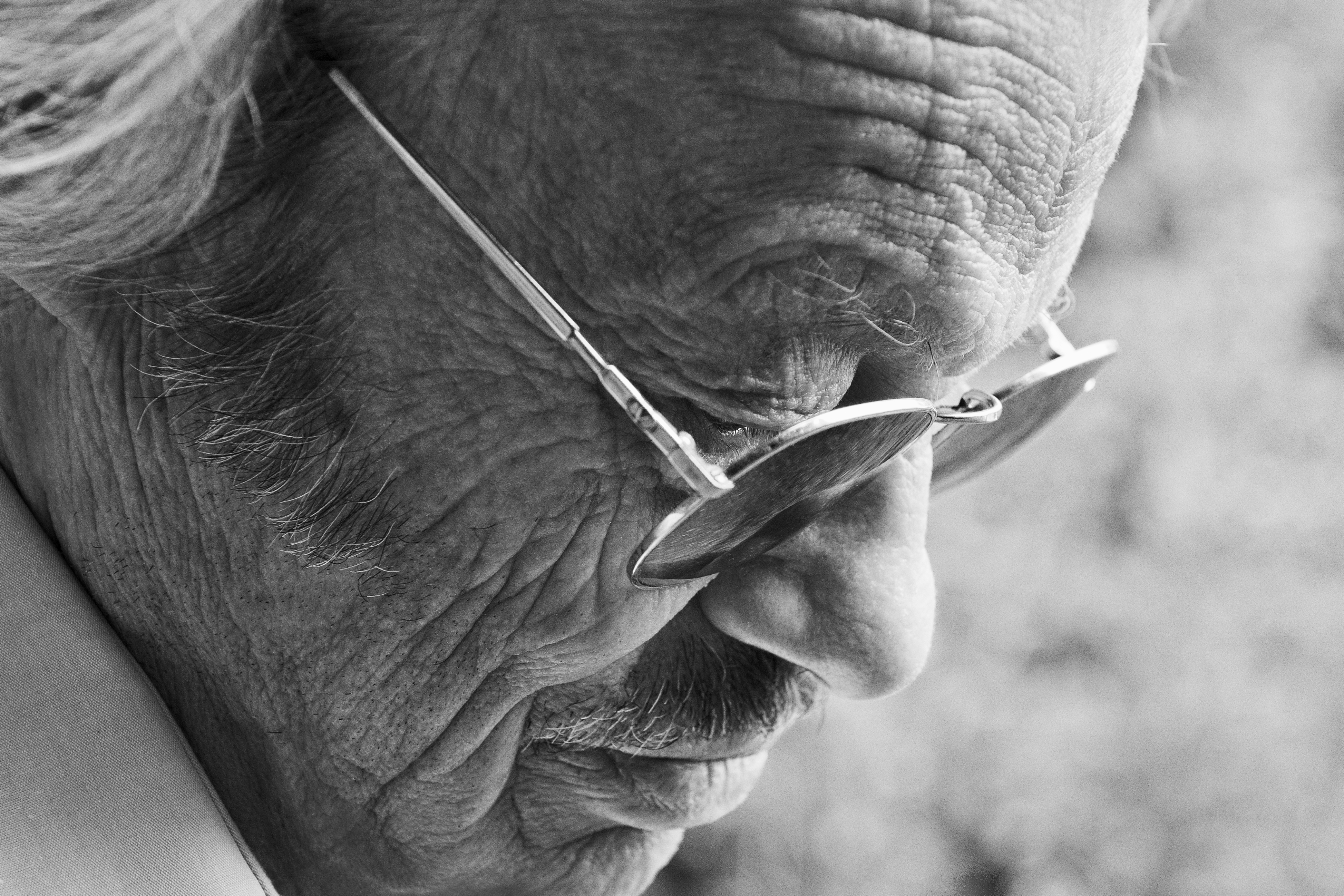 [Translate to English:] Cerha